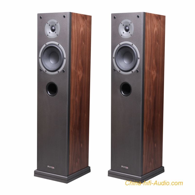 PAIYON P4F floor standing speakers 2.0 vifa speakers audiophile home theater