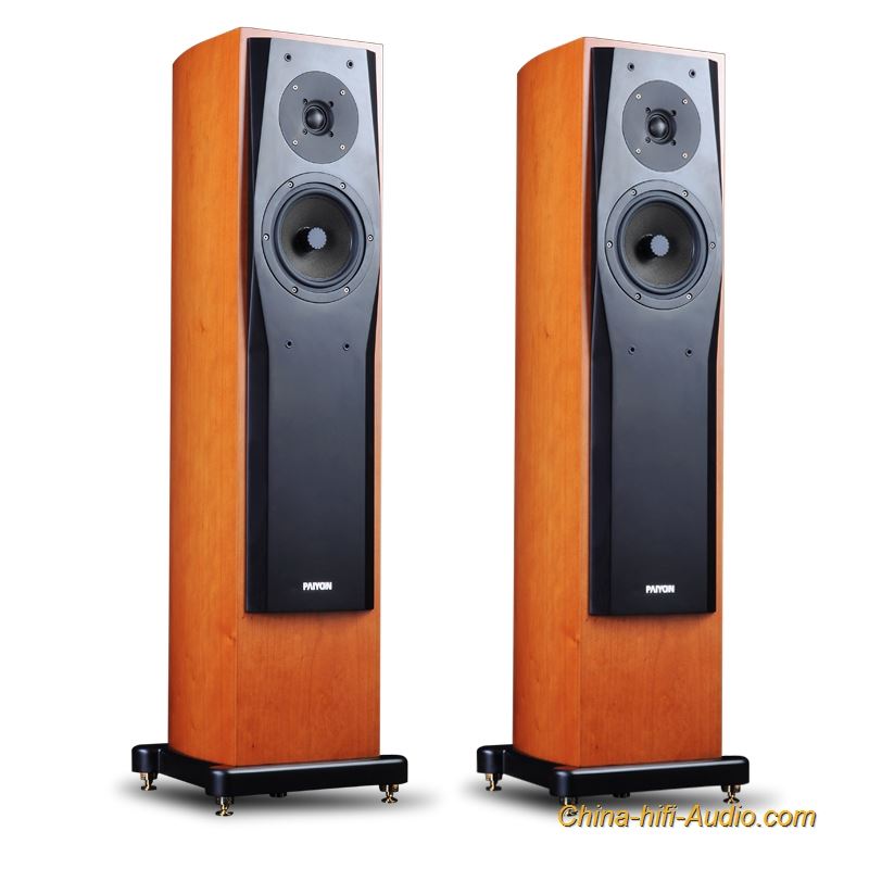 Paiyon P728 Hi End Floor Standing Speakers Hifi Speaker Stands