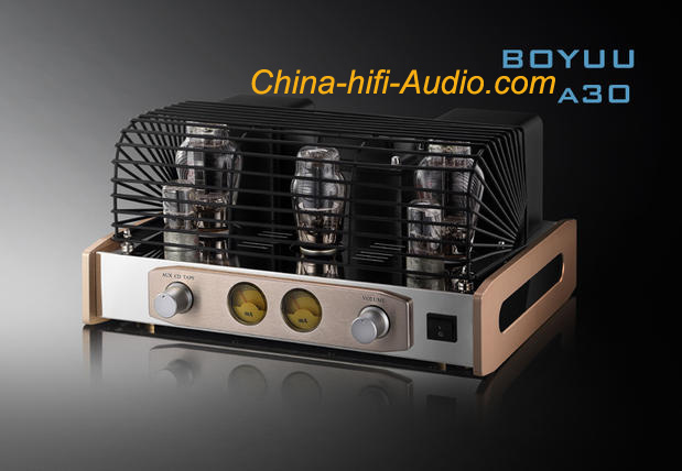 REISONG Boyuu A30 2A3 Tube Singel-end Class A Integrated Amplifier Hi-fi - Click Image to Close