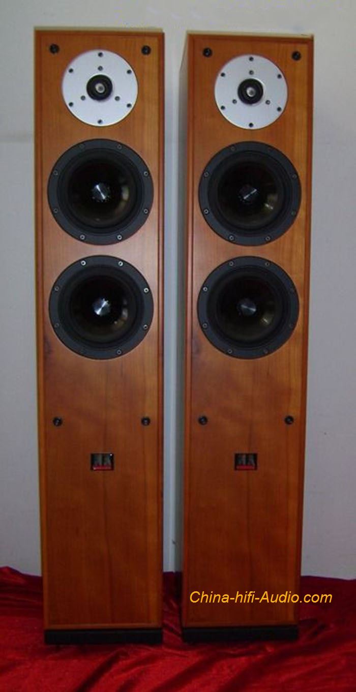 Master The Nightingale Floor standing speakers Loudspeaker pair for HI-FI audio - Click Image to Close