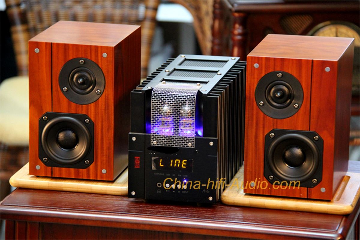 Best Match! QINPU A-6 intergrated AMP + VF-3.5 speakers